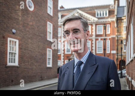 Giacobbe Rees-Mogg, Converative MP Foto Stock