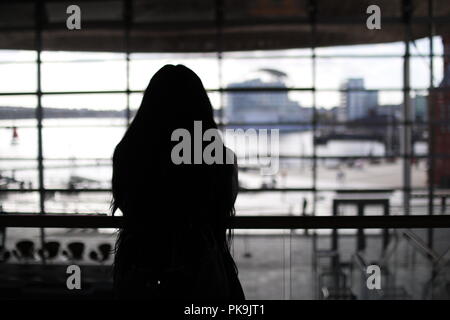 Il Senedd, Cardiff, Regno Unito, ottobre 2017 Foto Stock