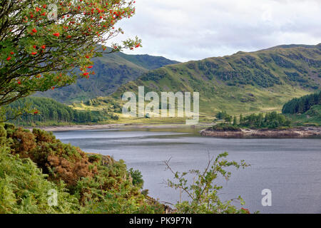 Scafell & Riggindale con Harter cadde dietro a sinistra del Lake District, Cumbria, Regno Unito Foto Stock