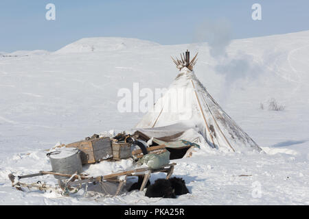 Nenets reindeer herders choom su un inverno Foto Stock