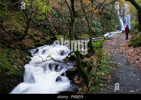 Ceunant Mawr cascata, Llanberis, Gwynedd. Bellissima e molto facile accesso. Immagine presa nel novembre 2016. Foto Stock