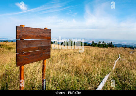 Legno segno più sulla cima di una collina con erba dorata in estate Foto Stock