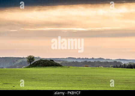 Centro storico di barrow hill su un campo verde in Danimarca in un nuvoloso sunrise Foto Stock