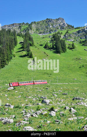 In tutta la Svizzera - Treno per Schynigge Platte Foto Stock