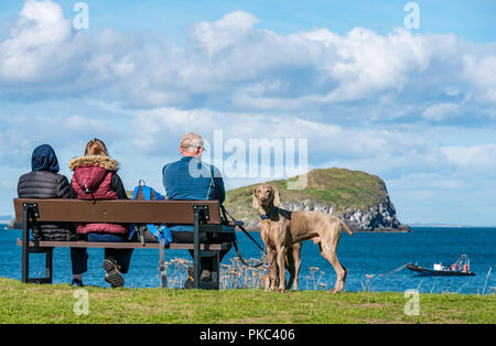 West Bay, North Berwick, East Lothian, Scozia, Regno Unito, 12 settembre 2018. Regno Unito Meteo: una bella e soleggiata ma ventoso giorno sulla parte orientale costa scozzese nel Firth of Forth. Le persone a rilassarsi su una panchina e ammirate la vista sul Firth of Forth a Craigleith Island con due Vizsla ungherese cani Foto Stock