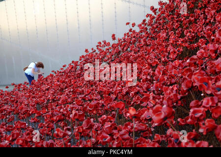 Salford, Regno Unito. Il 12 settembre 2018. I visitatori a Imperial War Museum North guardare "Wave" e "finestra di pianto" un'installazione dell'artista Paolo Cummins e installazione progettato da Tom Piper. L'installazione è stata originariamente al HM Tower of London da agosto a novembre 2014 dove papaveri 888,246 sono stati visualizzati, uno per ogni britannico o la vita coloniale perso al fronte durante la Prima Guerra Mondiale. Insieme, le sculture Onda e pianto finestra sono fatte di oltre 11.000 papaveri. Credito: Premos/Alamy Live News Foto Stock