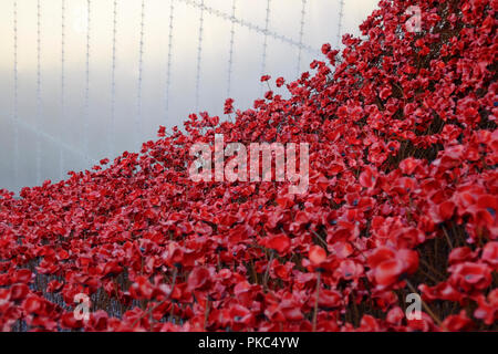 Salford, Regno Unito. Il 12 settembre 2018. I visitatori a Imperial War Museum North guardare "Wave" e "finestra di pianto" un'installazione dell'artista Paolo Cummins e installazione progettato da Tom Piper. L'installazione è stata originariamente al HM Tower of London da agosto a novembre 2014 dove papaveri 888,246 sono stati visualizzati, uno per ogni britannico o la vita coloniale perso al fronte durante la Prima Guerra Mondiale. Insieme, le sculture Onda e pianto finestra sono fatte di oltre 11.000 papaveri. Credito: Premos/Alamy Live News Foto Stock