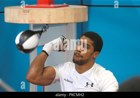 Anthony Joshua durante un allenamento di media presso l Istituto Italiano di Sport, Sheffield Foto Stock