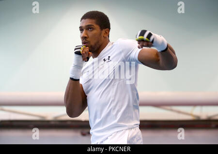 Anthony Joshua durante un allenamento di media presso l Istituto Italiano di Sport, Sheffield Foto Stock