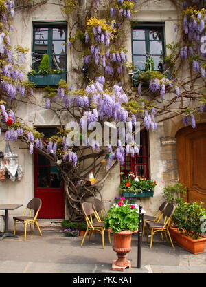 Bellissima facciata parigina con la fioritura del glicine Foto Stock