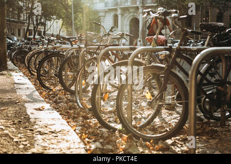 Molte biciclette sono parcheggiate in fila sulla strada di Lipsia in Germania. L'autunno. Mezzi di trasporto ecologici e un popolare mezzo di trasporto in Europa. Foto Stock