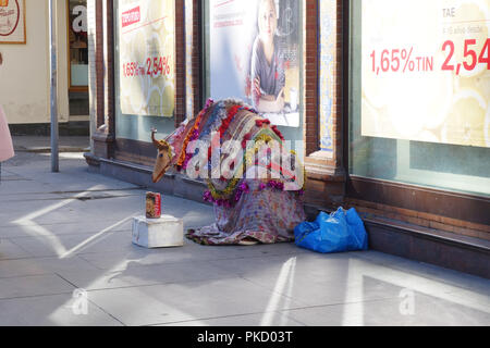 Musicista di strada in Sevilla, Spagna Foto Stock