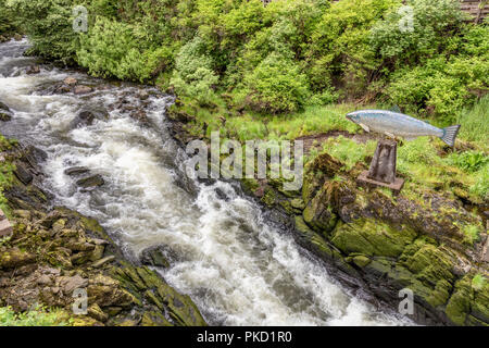 Una scultura intitolata Yeltatzie salmone da artista locale Terry Pyles sopra il torrente Ketchikan (un flusso di salmone) circa per entrare Creek Street in Ketchikan Foto Stock