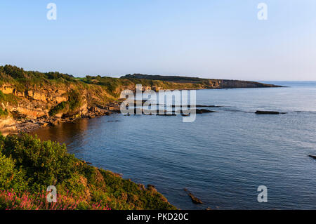 Punto Cullernose vicino Craster sulla costa di Northumberland Foto Stock