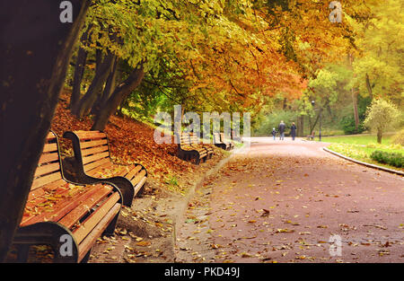 Numerose panchine di legno in una riga sotto la tettoia di colore giallo, arancione, verde foglie, rami vicino a una strada nel parco. Le figure di tre persone pacificamente a piedi Foto Stock