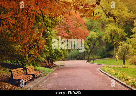 Numerose panchine di legno in una riga sotto la tettoia di colore giallo, arancione, verde foglie, rami vicino a una strada nel parco. Pittore con un cavalletto pacificamente permanente Foto Stock