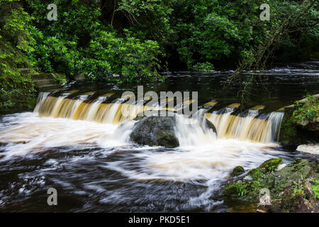 Fiume Shimna nell ondata rende troppo pericoloso per attraversare le pietre miliari. Tollymore Forest Park, Newcastle, N.Irlanda. Foto Stock