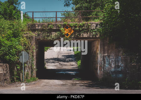 Vecchio e stretto sottopasso ferroviario coperto di graffiti e foglie d'edera, LaPorte, Indiana Foto Stock