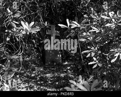 Commonwealth War Graves cimitero di Royal Victoria Country Park, Netley Abbey, Southampton, Hampshire, Inghilterra, Regno Unito Foto Stock