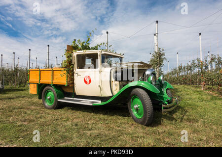 Vecchia Citroen C4 1925, parcheggiata su terreno coltivato. Paesi Bassi. Foto Stock