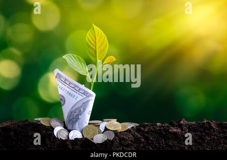 Banconote tree immagine della banconota con coltivazione di piante in alto per il business green fondo naturale di risparmiare denaro e di investimento Concetto finanziario Foto Stock