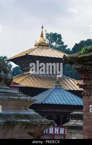 Tempio di Pashupatinath Foto Stock