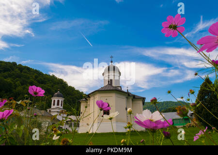 Maneciu, Romania - Agosto 15, 2018: bella immagine di Suzana monastero shot thru fiori colorati. Maneciu, Prahova, Romania. Foto Stock