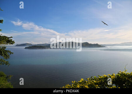 Di prima mattina nebbia a Viewpoint, Moalboal seightseeing, fying bird, tranquilla scena, Provincia di Cebu, mare calmo giornata soleggiata, isole Foto Stock