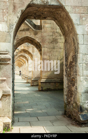 Il chiostro in Winchester Cathedral, Hampshire, Inghilterra. Foto Stock