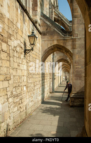 La Cattedrale di Winchester chiostri, Hampshire, Inghilterra. Foto Stock