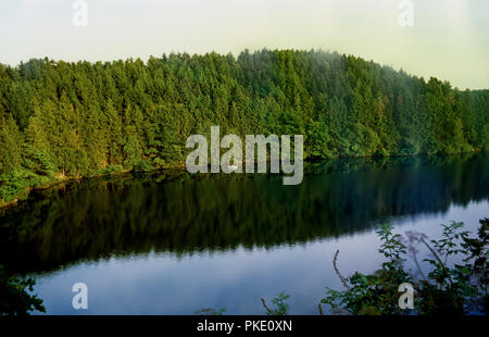 Impressioni del paesaggio delle Hautes Fagnes, in East-Belgium, vicino al confine tedesco (Belgio, 16/08/2008) Foto Stock