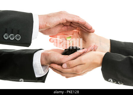 Imprenditore e la donna a protezione di una piantina in crescita in terreno fertile nelle loro mani a tazza a lavorare insieme come una squadra in una immagine concettuale, adatta f Foto Stock