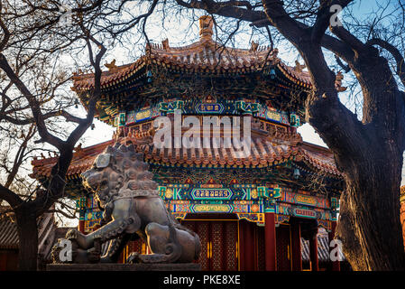 Custode cinese Leone al tempio Lama, Dongcheng District, Pechino Foto Stock