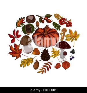 Autunno schizzi botanico isolati su sfondo bianco. Zucca, funghi, golden e foglie rosse cerchio di vettore. Illustrazione Vettoriale