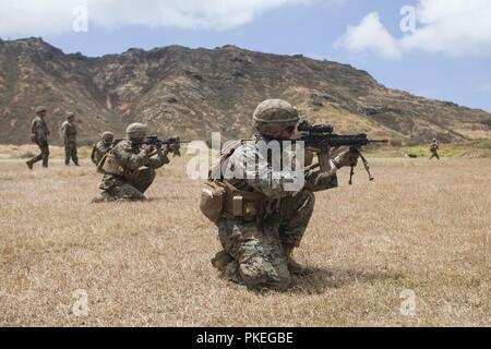 Stati Uniti Marines con 3° Battaglione, 3° Reggimento Marine, III Marine forza expeditionary, fornire incendio soppressivo durante un combinato di bracci esercizio presso la Baia di Kaneohe gamma Training Facility, Marine Corps base Hawaii, e il Agosto 3, 2018. Durante l'esercizio, U.S. Marines utilizzato mitragliatrice di soppressione e di colpi di mortaio sulla simulazione di forze nemiche, mentre fanti aggredito in avanti verso di loro. Foto Stock