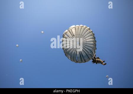 Paracadutisti scendere su Castello zona di caduta durante Leapfest presso la University of Rhode Island, West Kingston, R.I., e il Agosto 5, 2018. Leapfest è il più grande e il più lungo in piedi, international static line parachute evento di formazione e competizione ospitata dalla 56th squadrone comando, Rhode Island esercito Guardia Nazionale per promuovere tecniche di alto livello e esprit de corps entro il International Airborne comunità. Foto Stock