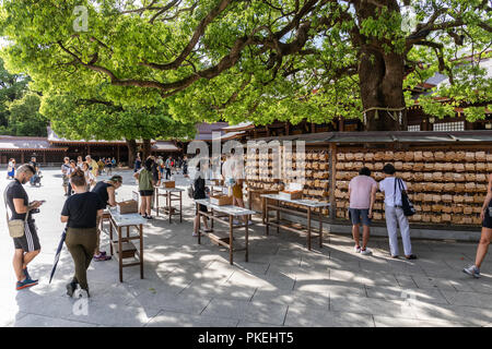 I visitatori del Tempio di Meiji in Tokyo scrivere auguri e preghiere per tavolette votive che sarà appeso sulla Tavoletta votiva parete Foto Stock