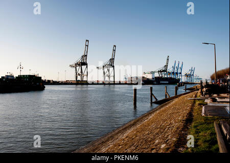 Il porto di Zeebrugge (Belgio, 29/03/2009) Foto Stock