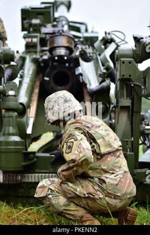 I soldati assegnati a Charlie batteria, 1° Battaglione, campo 206th reggimento di artiglieria, 39th della brigata di fanteria combattere la squadra, Arkansas Guardia nazionale, conduce a vivere formazione antincendio esercizio con il M777A2 trainato 155mm obici, 28 luglio 2018. Charlie batteria 'freddo Acciaio', è sede di Booneville, Arkansas. Questa è la prima volta che l'Arkansas Guardia Nazionale ha schierato le M777A2. Foto Stock