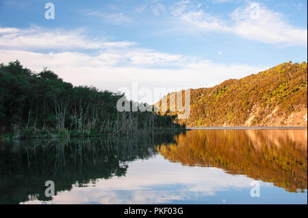 La Valle Vulcanica di Waimangu, Rotorua, Nuova Zelanda. Foresta riflessa e scogliere nelle acque del lago Rotomahana Foto Stock