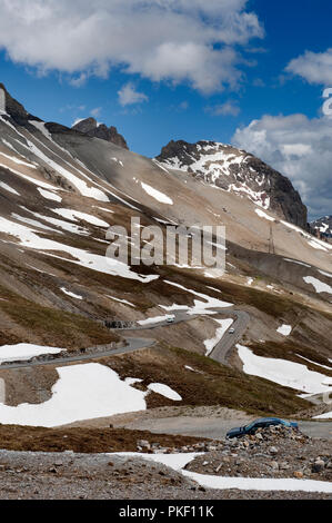 Impressioni delle Alpi francesi dal Col du Lautaret, nelle Hautes Alpes dipartimento (Francia, 14/06/2010) Foto Stock