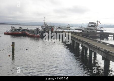 Diversi Coast Guard piccole imbarcazioni e una guardia costiera ausiliaria di imbarcazione attraccata al Mt. Baker Park pier a Seattle, e il Agosto 4, 2018. Le navi sono state utilizzate ruotando la barca gli equipaggi per garantire la sicurezza sul lago Washington durante la sessantanovesima Seafair annuale air show e altri festival weekend di attivi. Stati Uniti Coast Guard Foto Stock