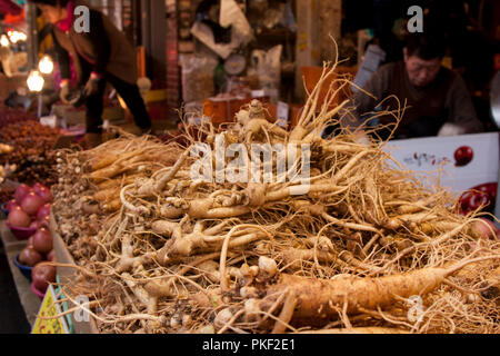 La radice del ginseng a una medicina di erbe mercato in Seoul Corea del Sud. Popolare il tè di ginseng venduti a un tradizionale mercato all'aperto. Foto Stock