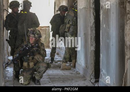 Un team di tedesco panzergrenadiers evidente una struttura abbandonata durante un urbano formazione operativa esercitare all'Vaziani Area Formazione il Ago 5, 2018 durante il nobile 18 Partner. . I soldati tedeschi erano parte di U.S. aviatori, georgiana delle forze speciali e ucraino fanteria marines che hanno partecipato all'esercizio. Esercito degli Stati Uniti Guardia Nazionale Foto Stock