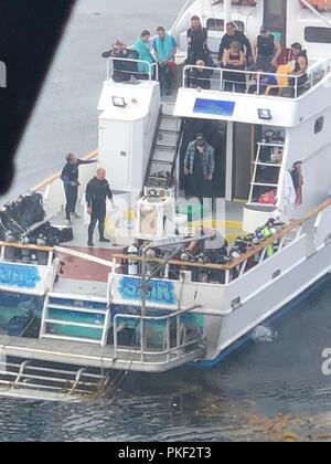 Il Coast Guard medevaced un 23-anno-vecchia donna da un diving vantano nelle vicinanze di Santa Barbara Island, 5 agosto 2018. Una guardia costiera Stazione aria di San Francisco in avanti una base operativa Point Mugu MH-65 Delfino elicottero equipaggi sono arrivati sulla scena, issata lei in elicottero e trasportato alla University of Southern California Catalina camera iperbarica. Foto Stock