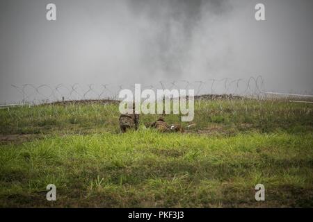 Stati Uniti Esercito tecnico assegnato a 1° Battaglione, 27 Reggimento di Fanteria "Wolfhound', seconda della brigata di fanteria combattere la squadra, XXV divisione di fanteria, si prepara a ridurre un ostacolo durante un combinato di bracci live-fire esercizio a Schofield caserma, Hawaii, 3 agosto 2018. L'esercizio è parte di un sistema generale di progressione di formazione al fine di mantenere la Combat Readiness in preparazione per un giunto Readiness Training Center la rotazione entro la fine di quest'anno. Foto Stock