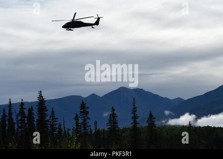 Stati Uniti Esercito UH-60 i falchi nero trasporta i marines alla zona di atterraggio 26 durante il 4° Divisione Marine fucile annuale Squad concorrenza a base comune Elmendorf-Richardson, Anchorage in Alaska,, 3 agosto 2018. Super Squad concorsi sono stati progettati per valutare un 14-uomo squadra di fanteria in tutto un campo molto esteso e live-fire evoluzione. Foto Stock