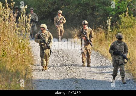 Stati Uniti I soldati assegnati a società A, 404 Aviazione Battaglione di supporto, 4a combattere la Brigata Aerea, 4a divisione di fanteria, fuori di Fort Carson, Colo., condurre un ruck marzo durante una prontezza esercizio presso il locale Oberdachstetten Area Formazione, Germania, 3 Agosto, 2018. La quarta cabina è su un periodo di nove mesi di rotazione in sostegno della Atlantic risolvere. Atlantic risolvere è una dimostrazione di continuato impegno USA di una collettiva della sicurezza europea attraverso una serie di azioni destinate a rassicurare gli alleati della NATO e gli altri partner europei d'America la dedizione per una pace duratura e la stabilità in tutto Foto Stock