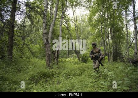 Un U.S. Marine con 3° Battaglione, ventitreesimo reggimento Marine, conduce un combattimento simulato patrol durante la quarta divisione Marine Super Squad concorrenza a base comune Elmendorf-Richardson, Alaska, e il Agosto 4, 2018. Durante la competizione, le squadre da 1 ° e 3 ° battaglioni, ventitreesimo reggimento Marine e 1° Battaglione, xxiv reggimento Marine, esercitato la loro tecnica e tattica abilità dal competere in eventi che offensiva evidenziato/operazioni difensive, tecniche di pattugliamento, combattere la precisione di tiro, resistenza fisica e una piccola unità di leadership. Foto Stock