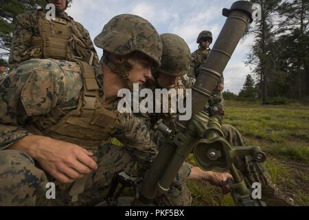 Lancia Cpl. Vince pareti (sinistra) e Lance Cpl. Alexander Banik (a destra), mortarmen con Lima Company, 3° Battaglione, XXV Reggimento Marine, regolare un M224 60mm mortaio durante esercizio sciopero del Nord a Camp temolo, Mich, 7 Agosto, 2018. Camp temolo, il più grande la Guardia Nazionale nel centro del paese a copertura 147,000 acri, offre molte grandi artiglieria, Malta, serbatoio gamme e i corsi di manovra. Foto Stock